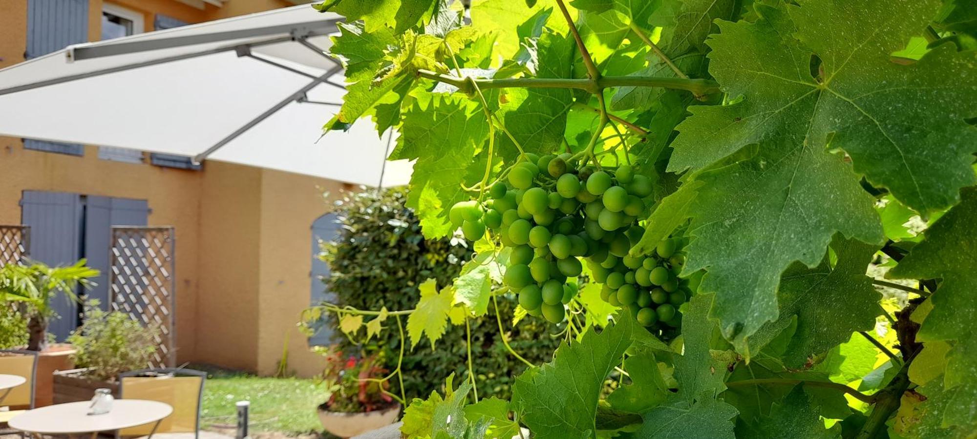 Hotel Des Vignes Juliénas Εξωτερικό φωτογραφία